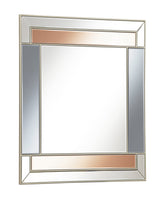 Coaster Braylin Rectangular Wall Mirror Champagne and Grey Model 962907